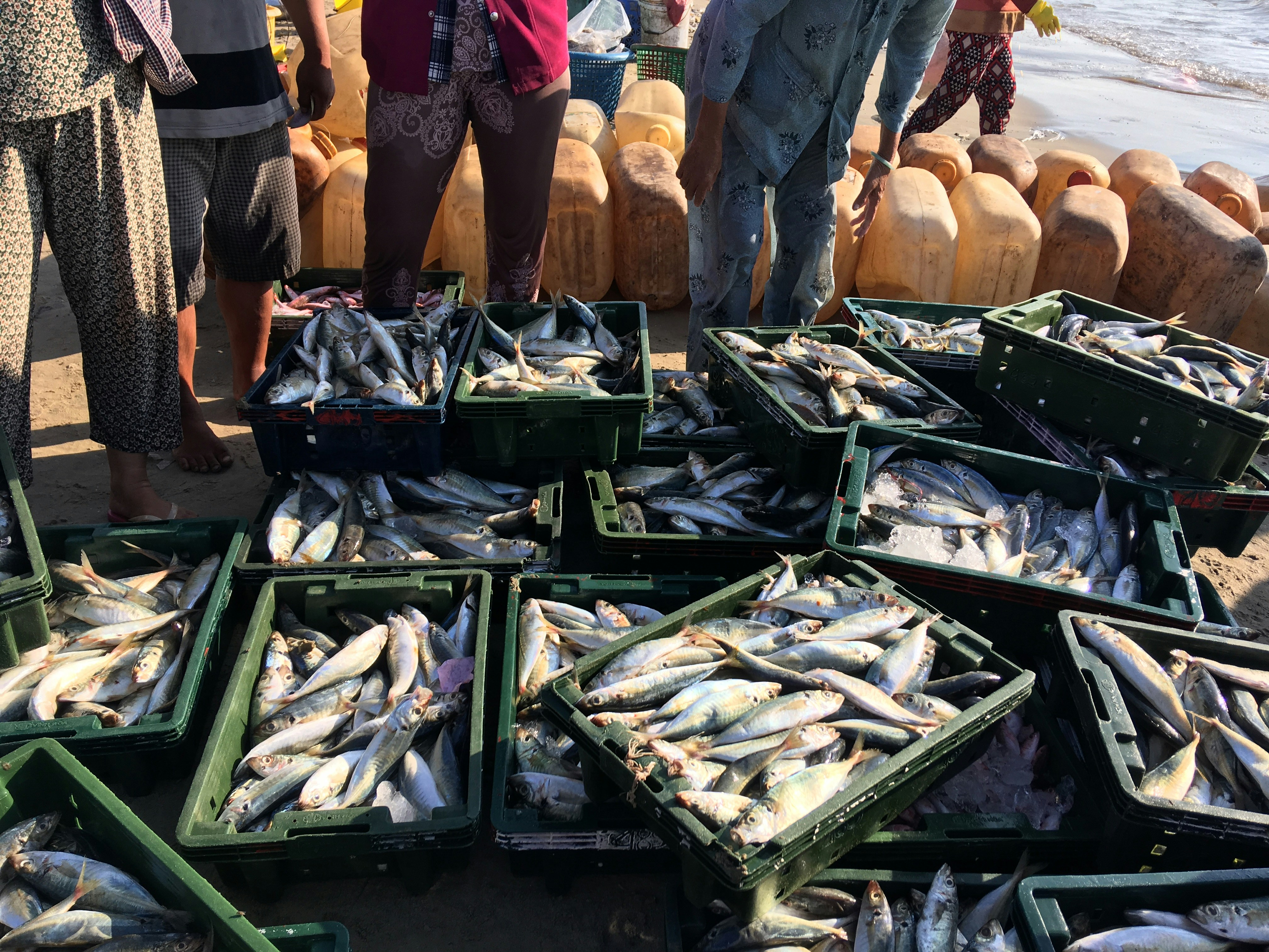 fisheries-situation-photo